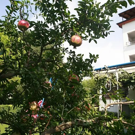 Jasna Apartment Rovinj